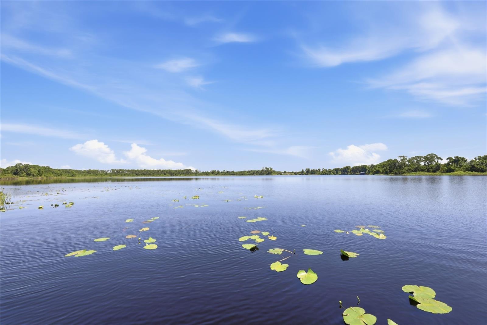 10692 ROYAL CYPRESS WAY, ORLANDO, FL — photo 2