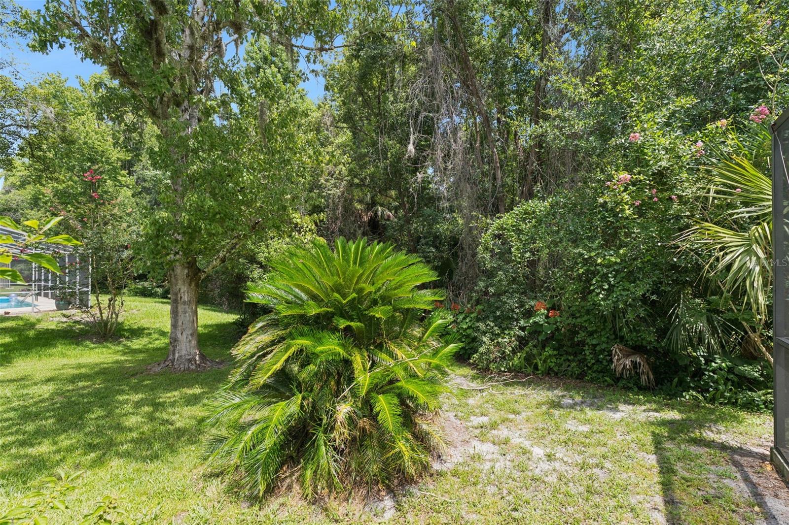 211 HICKORY DR, LONGWOOD, FL — photo 48