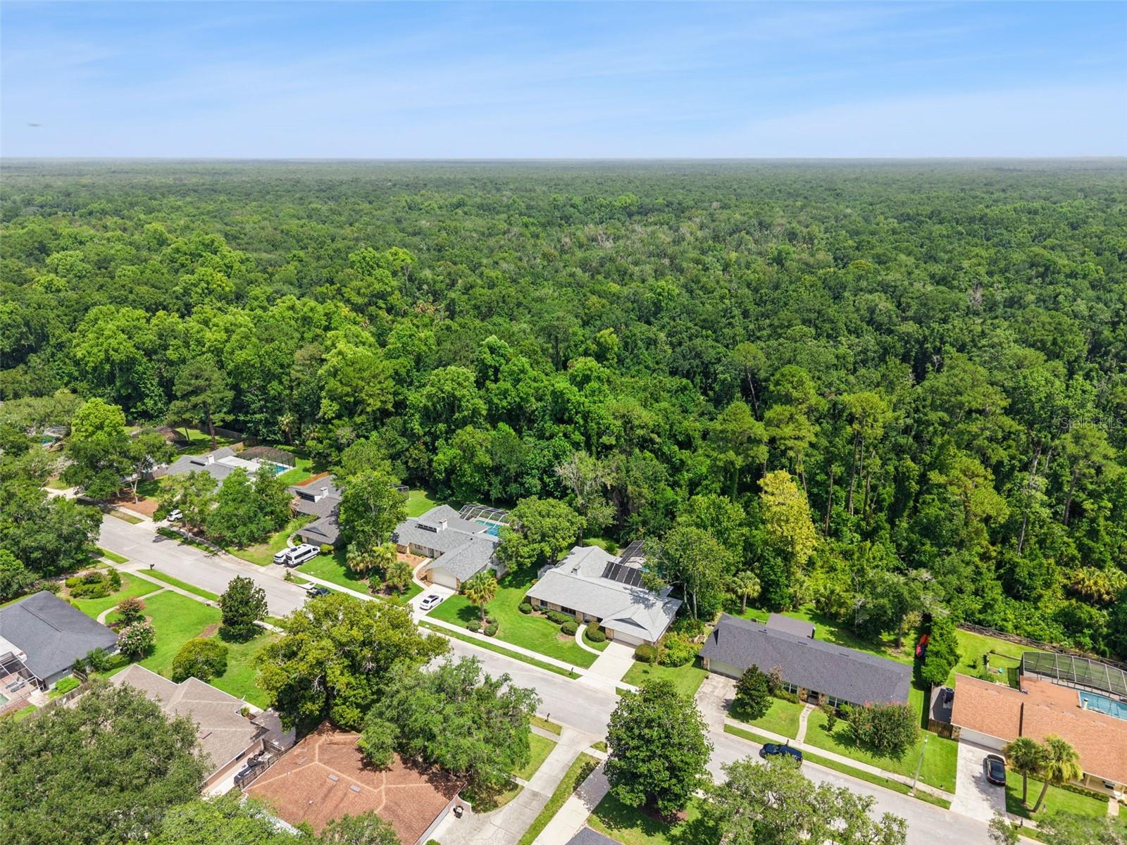 211 HICKORY DR, LONGWOOD, FL — photo 55