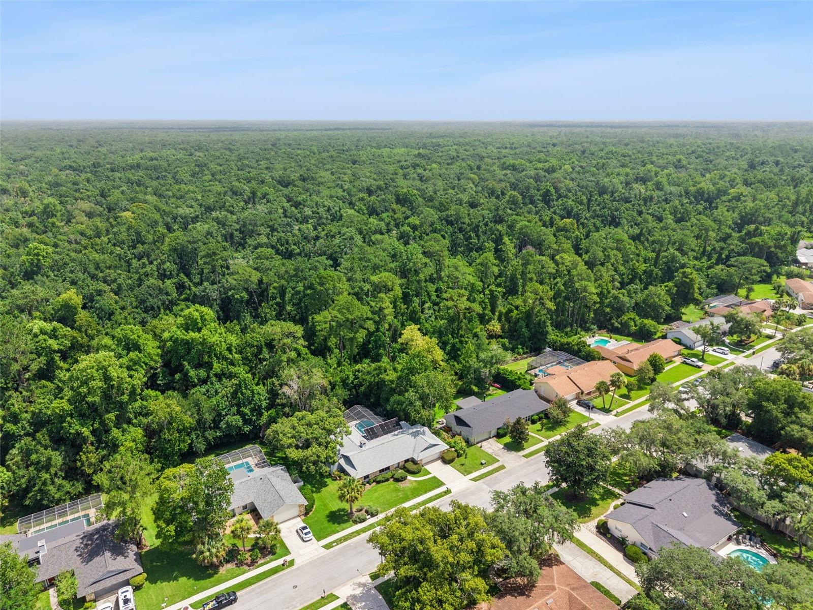 211 HICKORY DR, LONGWOOD, FL — photo 58