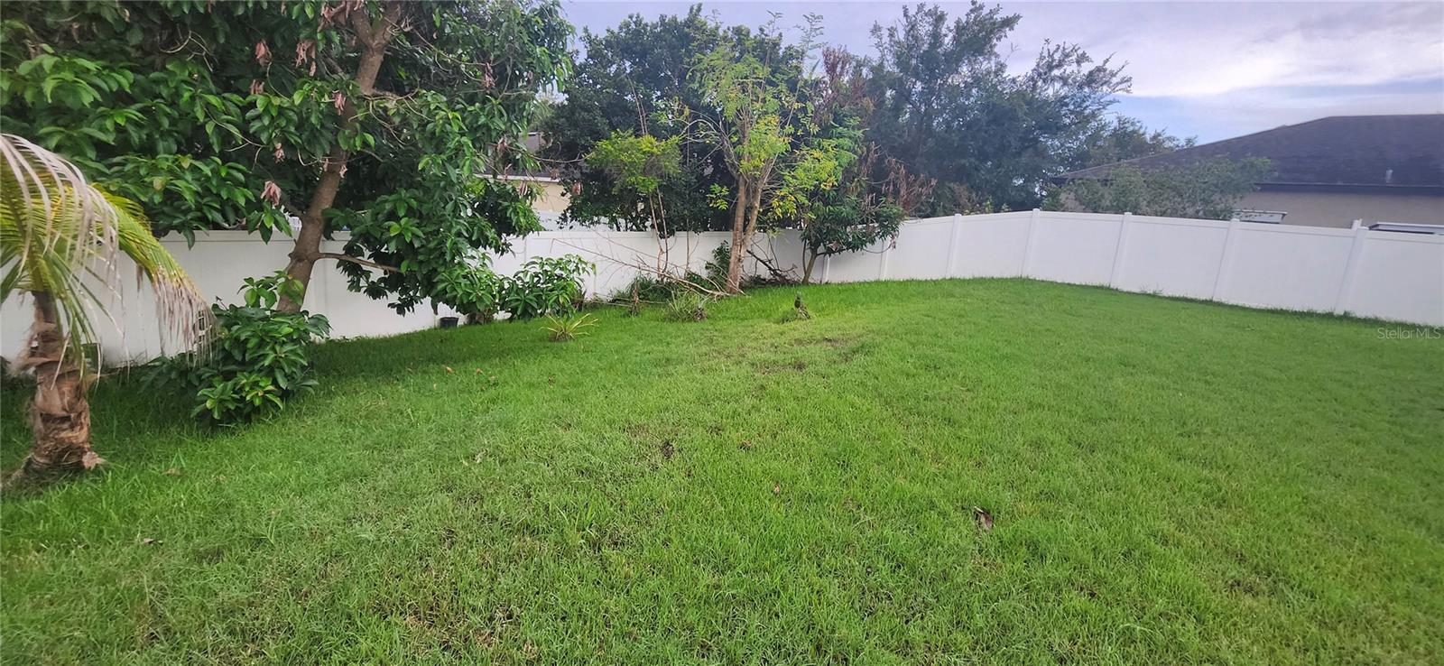 1424 MAIN ST, VALRICO, FL — photo 15