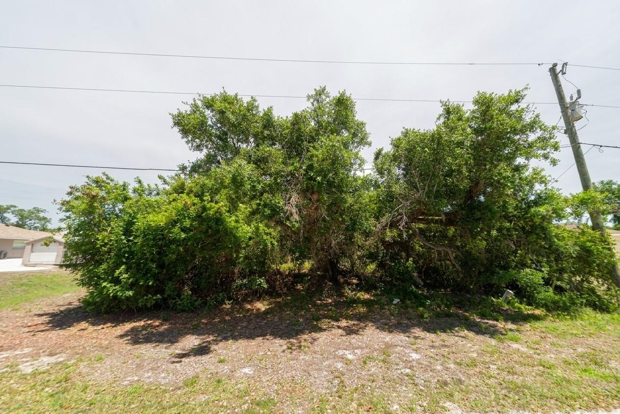 1136-10-1410 MONTEREY LN, NORTH PORT, FL — photo 8