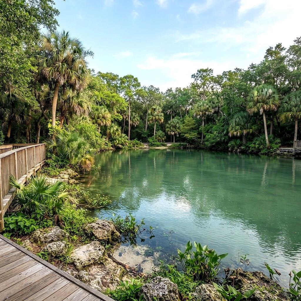 1136-10-1410 MONTEREY LN, NORTH PORT, FL — photo 11