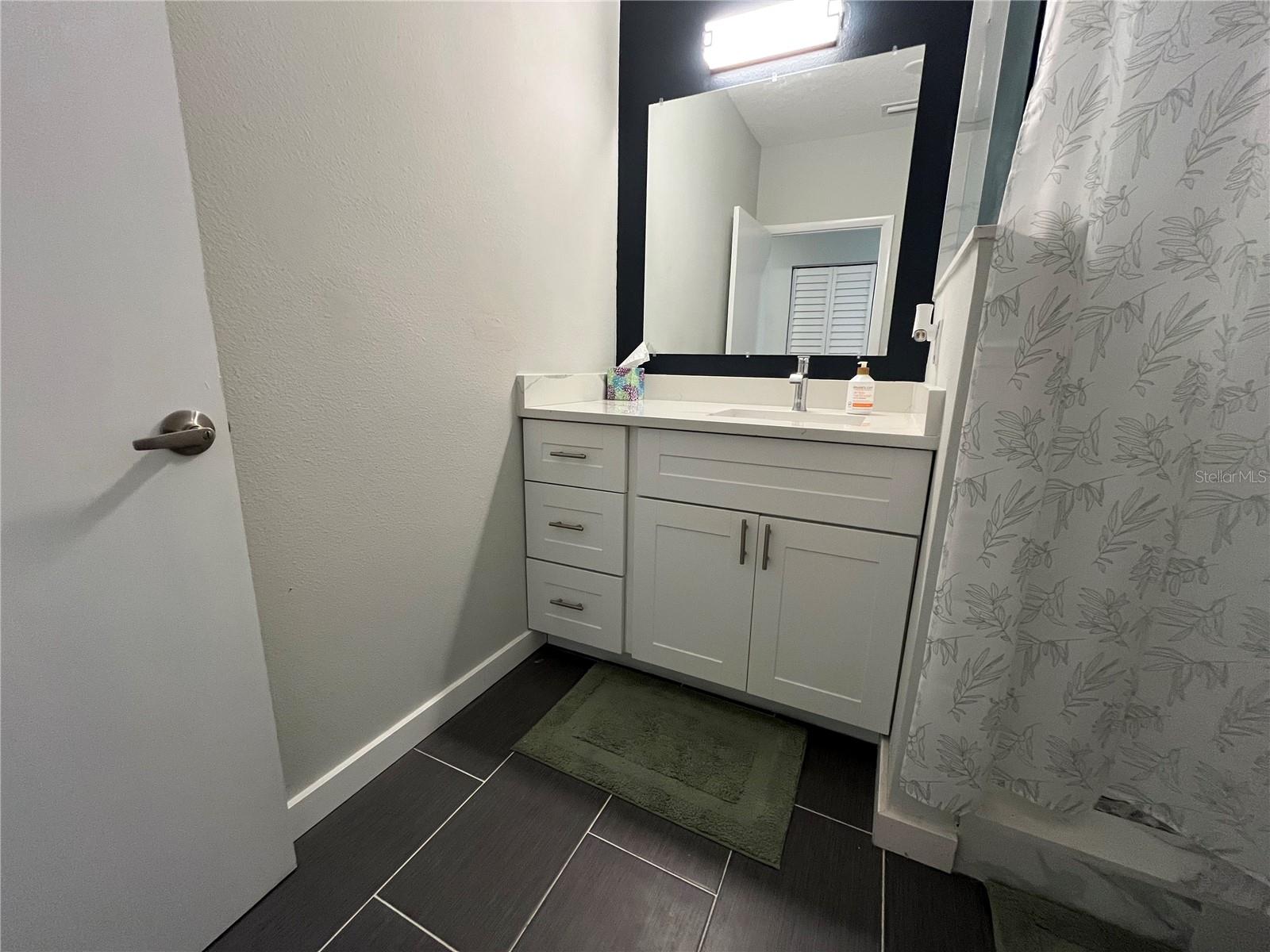 4326 TYLER CIR N, ST PETERSBURG, FL — photo 44