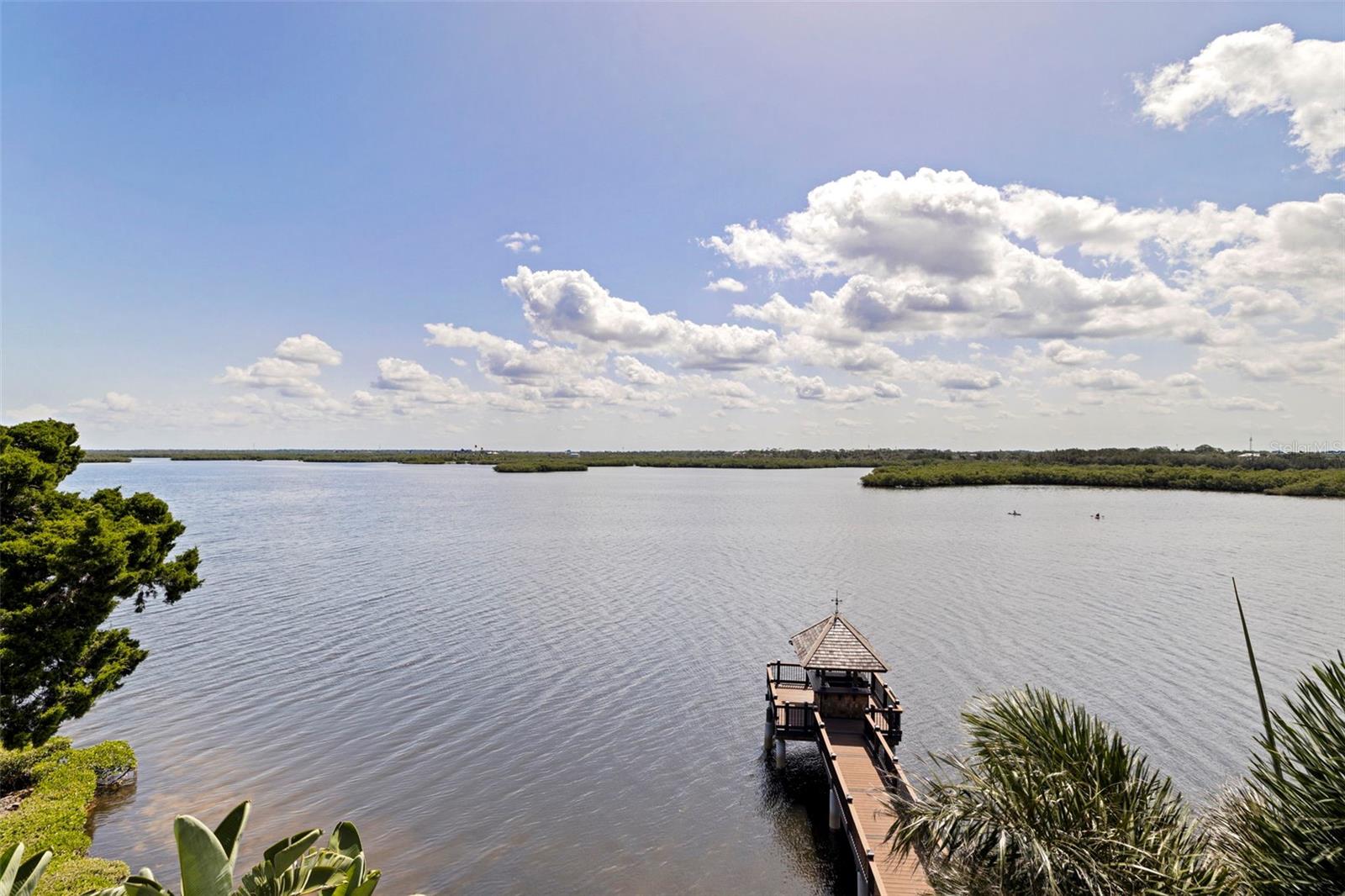 4631 HARBORPOINTE DR, PORT RICHEY, FL — photo 44