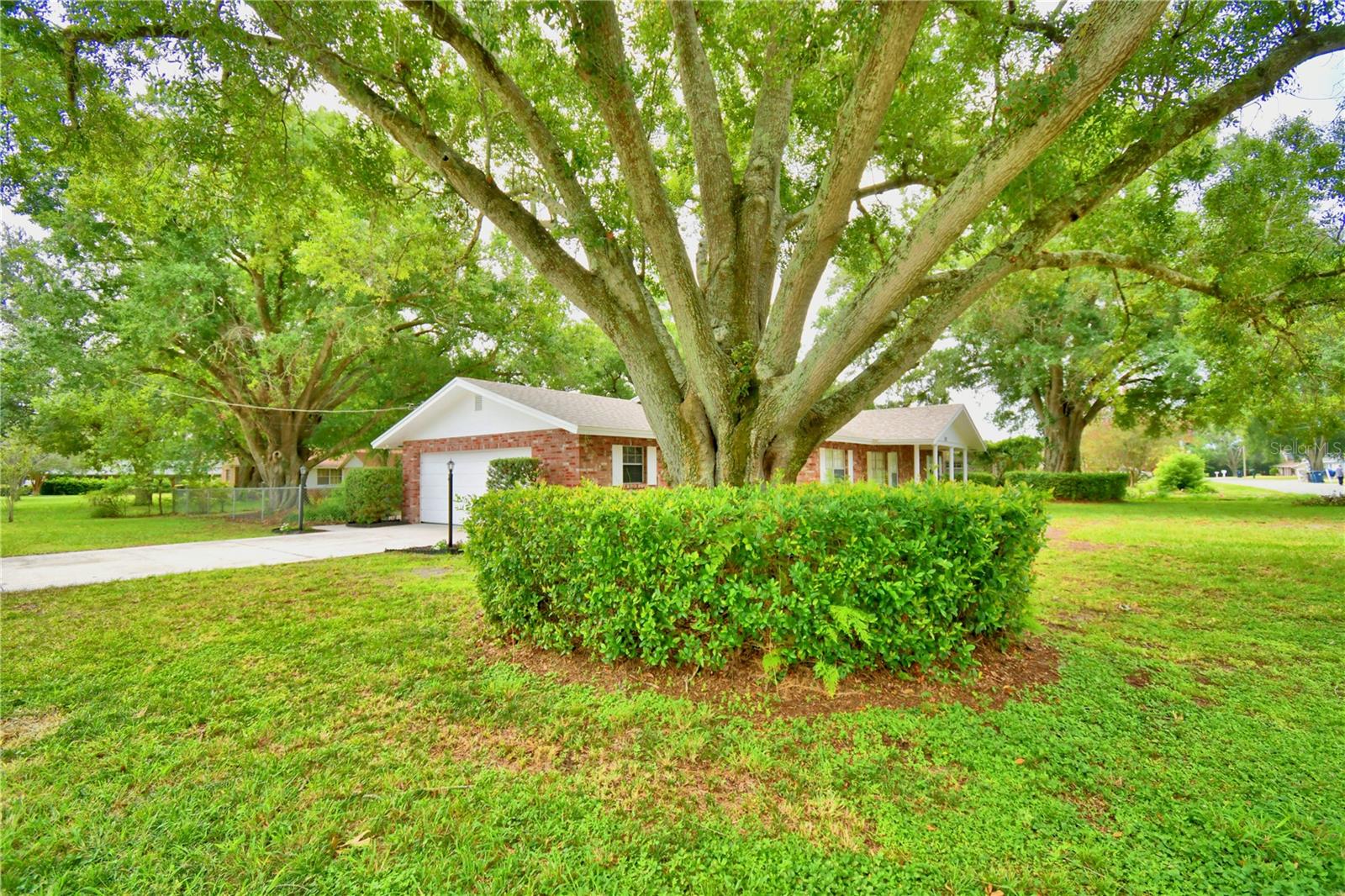 1212 LYNN AVE, AUBURNDALE, FL — photo 4