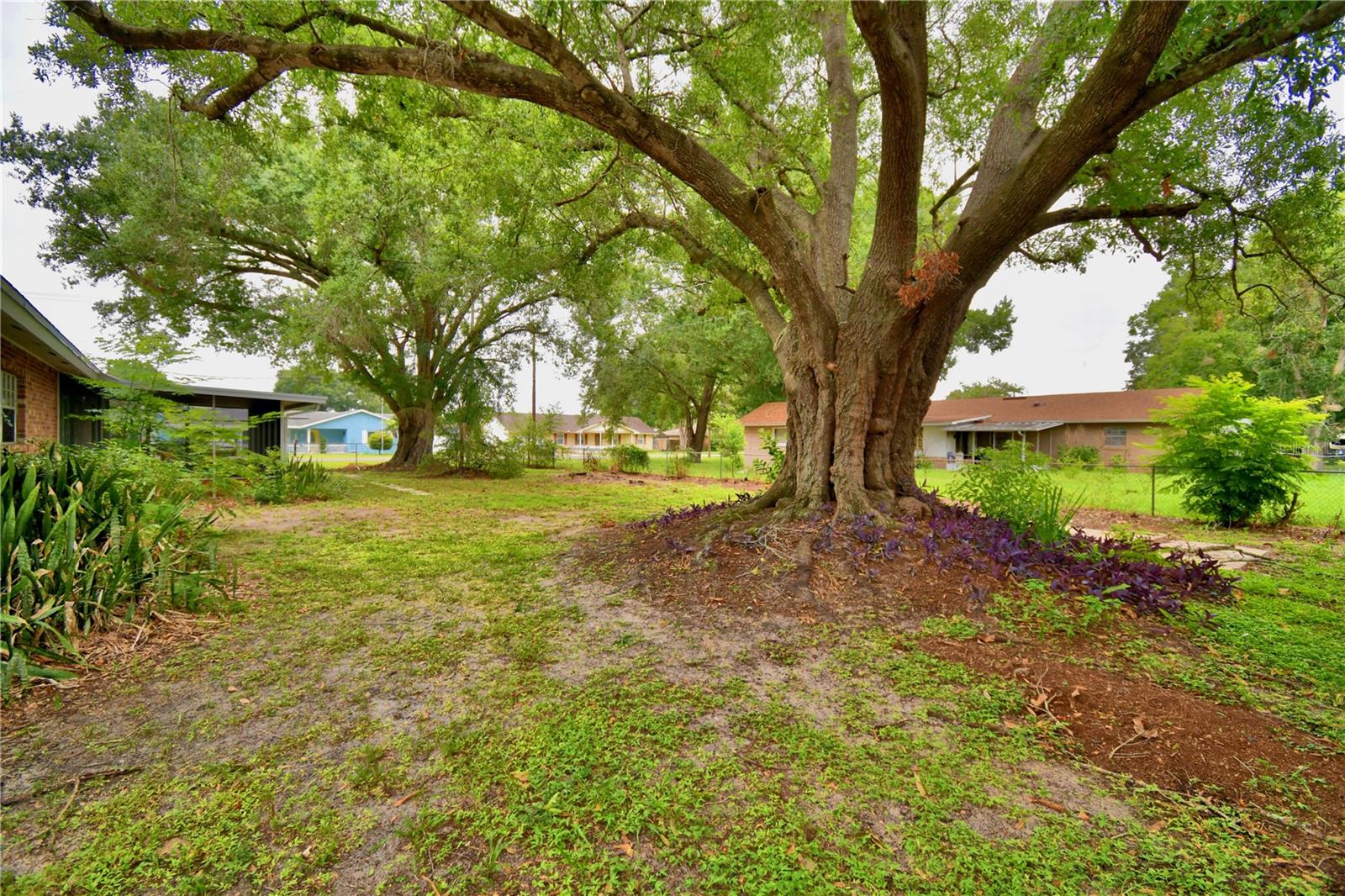 1212 LYNN AVE, AUBURNDALE, FL — photo 58