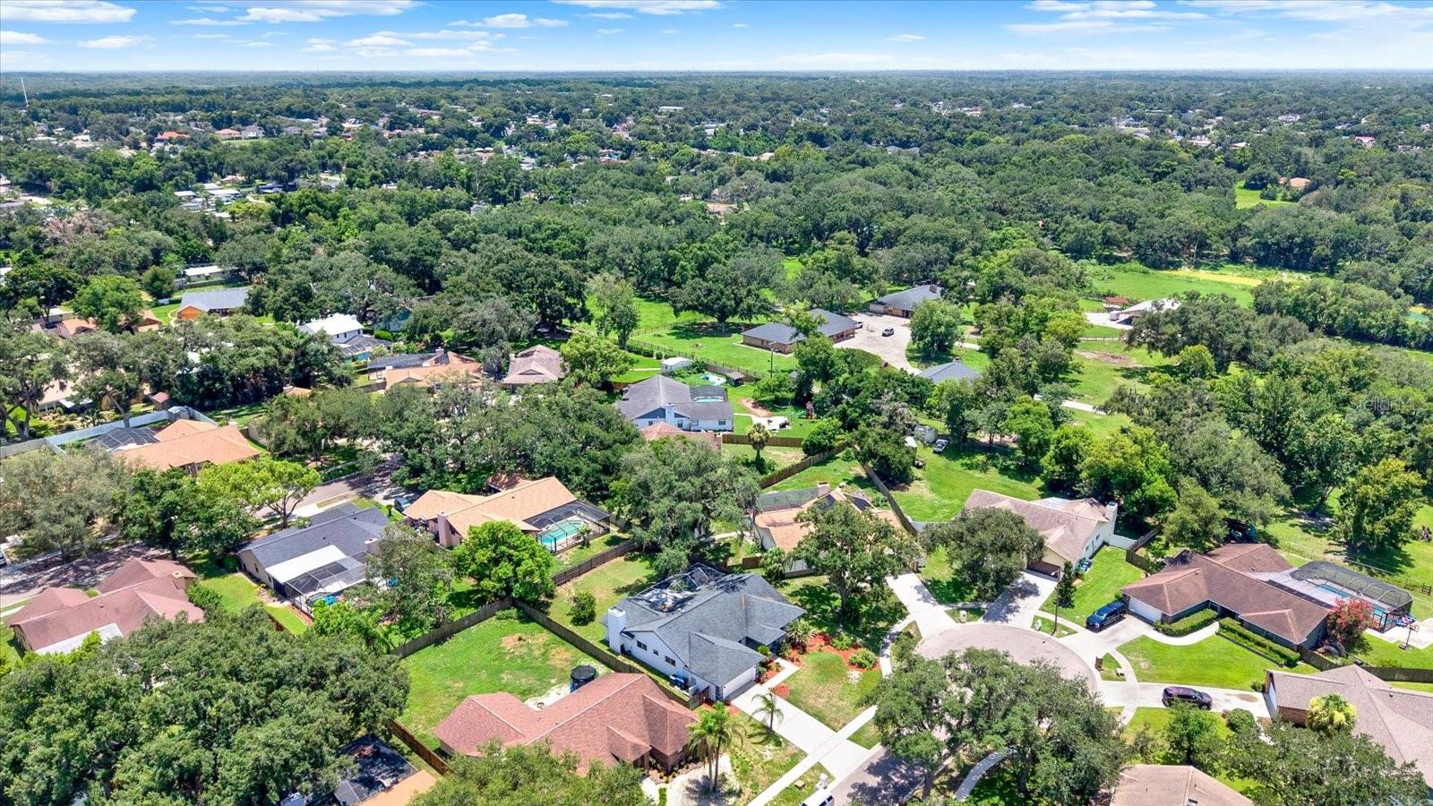 1805 TAWNEE PL, BRANDON, FL — photo 48