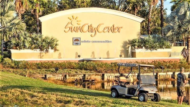 1508 FLAMINGO LN, SUN CITY CENTER, FL — photo 49