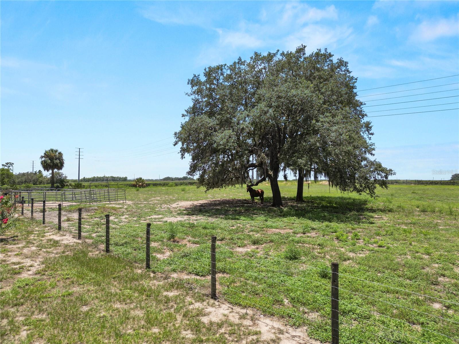 6570 WATER TANK RD E, HAINES CITY, FL — photo 82