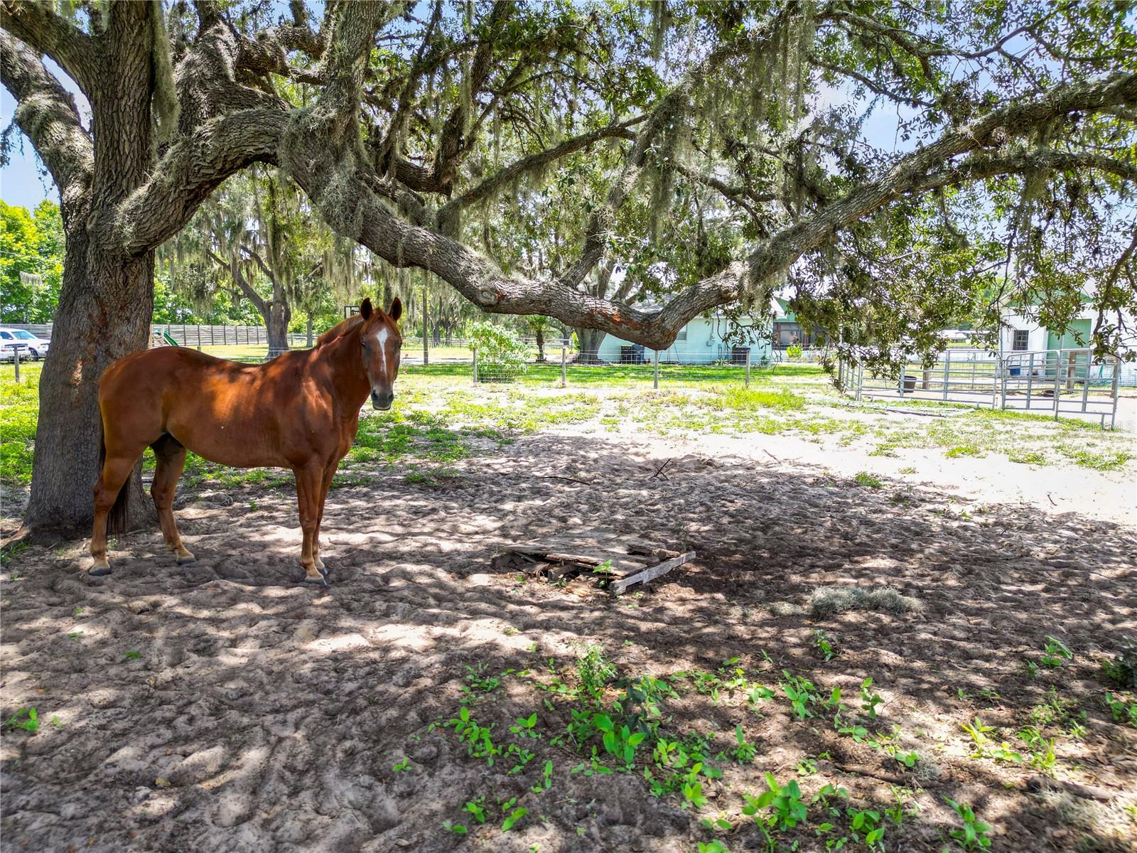 6570 WATER TANK RD E, HAINES CITY, FL — photo 83