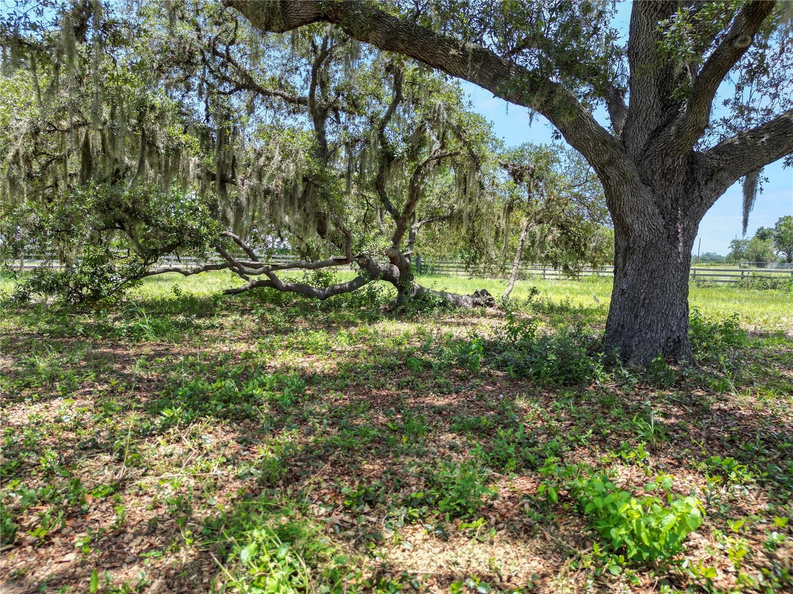 6570 WATER TANK RD E, HAINES CITY, FL — photo 84