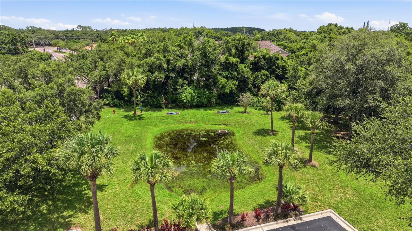 10106 BELLEVILLE PL, TAMPA, FL — photo 33