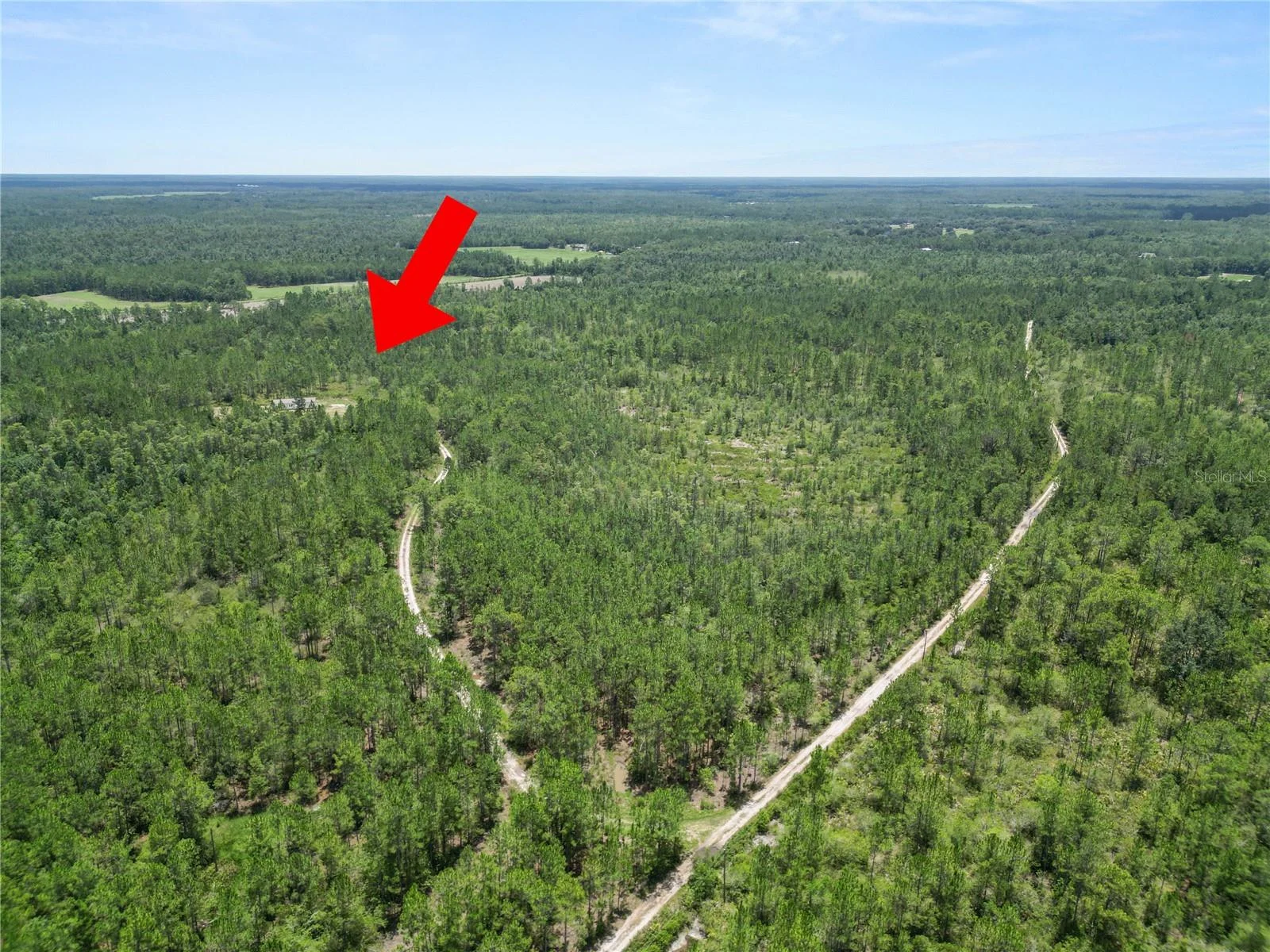 3450 SALYERS RD, CLERMONT, FL — photo 40