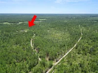 3450 SALYERS RD — photo 40