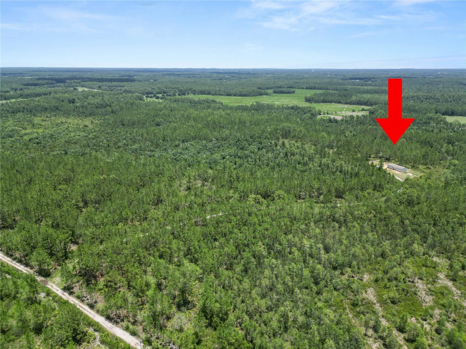 3450 SALYERS RD, CLERMONT, FL — photo 42