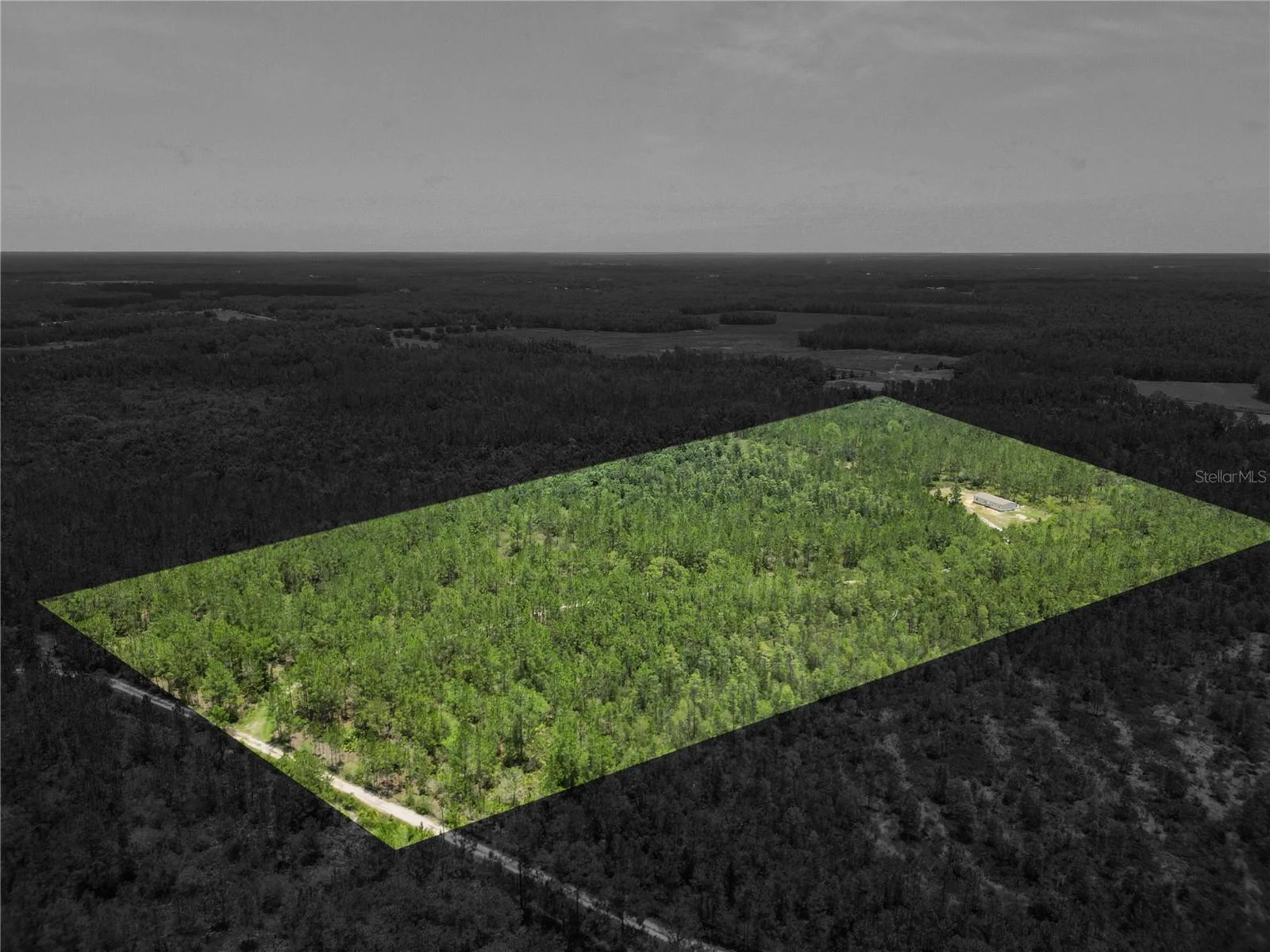 3450 SALYERS RD, CLERMONT, FL — photo 43