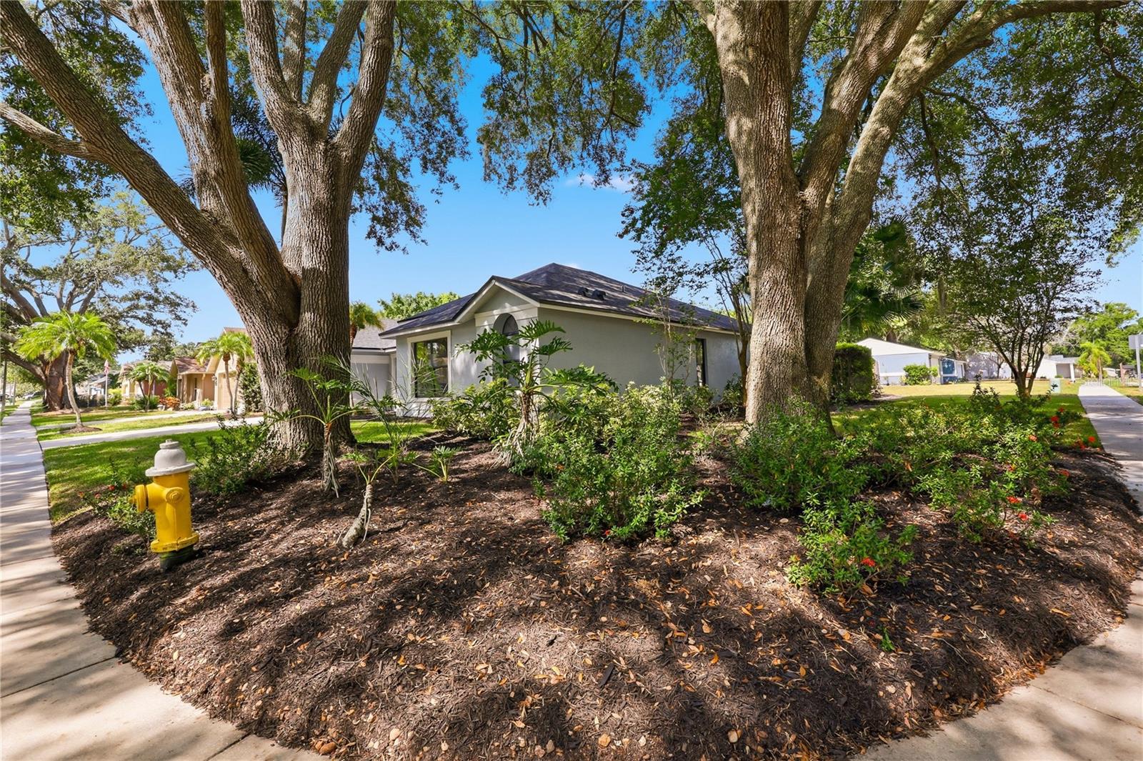 3040 WINDRIDGE OAKS DR, PALM HARBOR, FL — photo 4