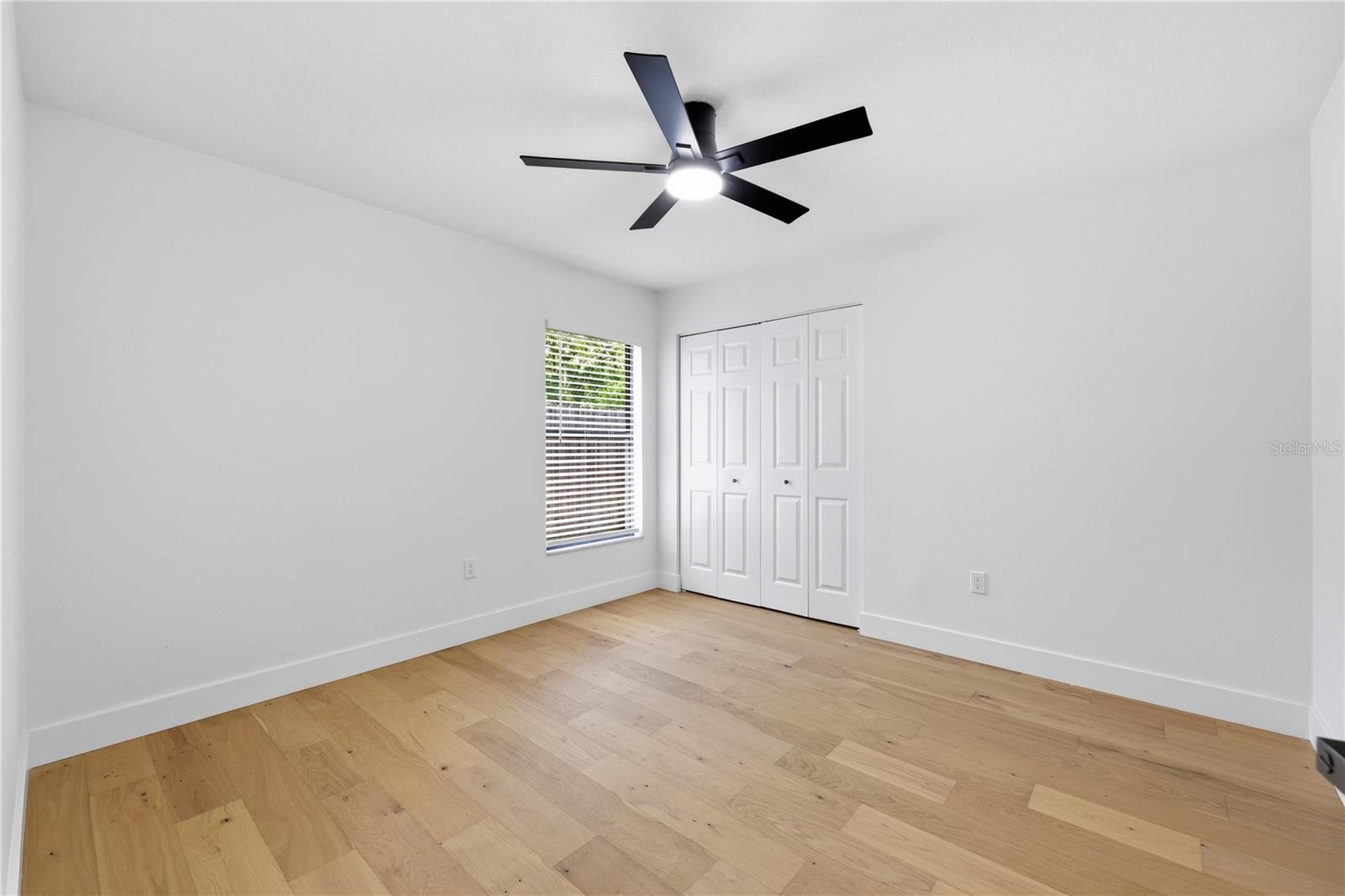 3040 WINDRIDGE OAKS DR, PALM HARBOR, FL — photo 25