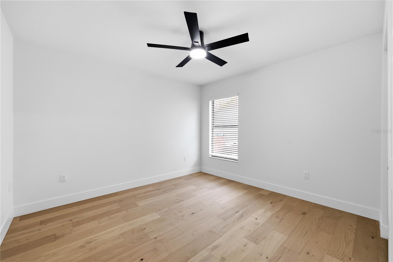 3040 WINDRIDGE OAKS DR, PALM HARBOR, FL — photo 26