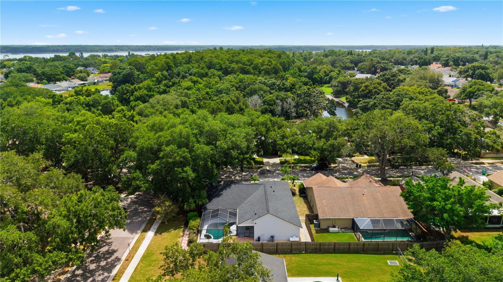 3040 WINDRIDGE OAKS DR, PALM HARBOR, FL — photo 40
