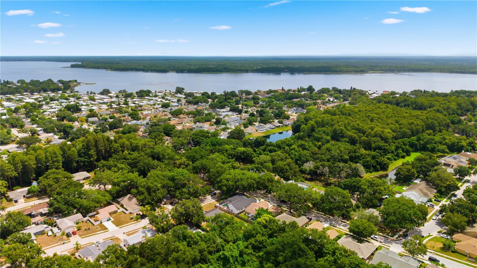 3040 WINDRIDGE OAKS DR, PALM HARBOR, FL — photo 41