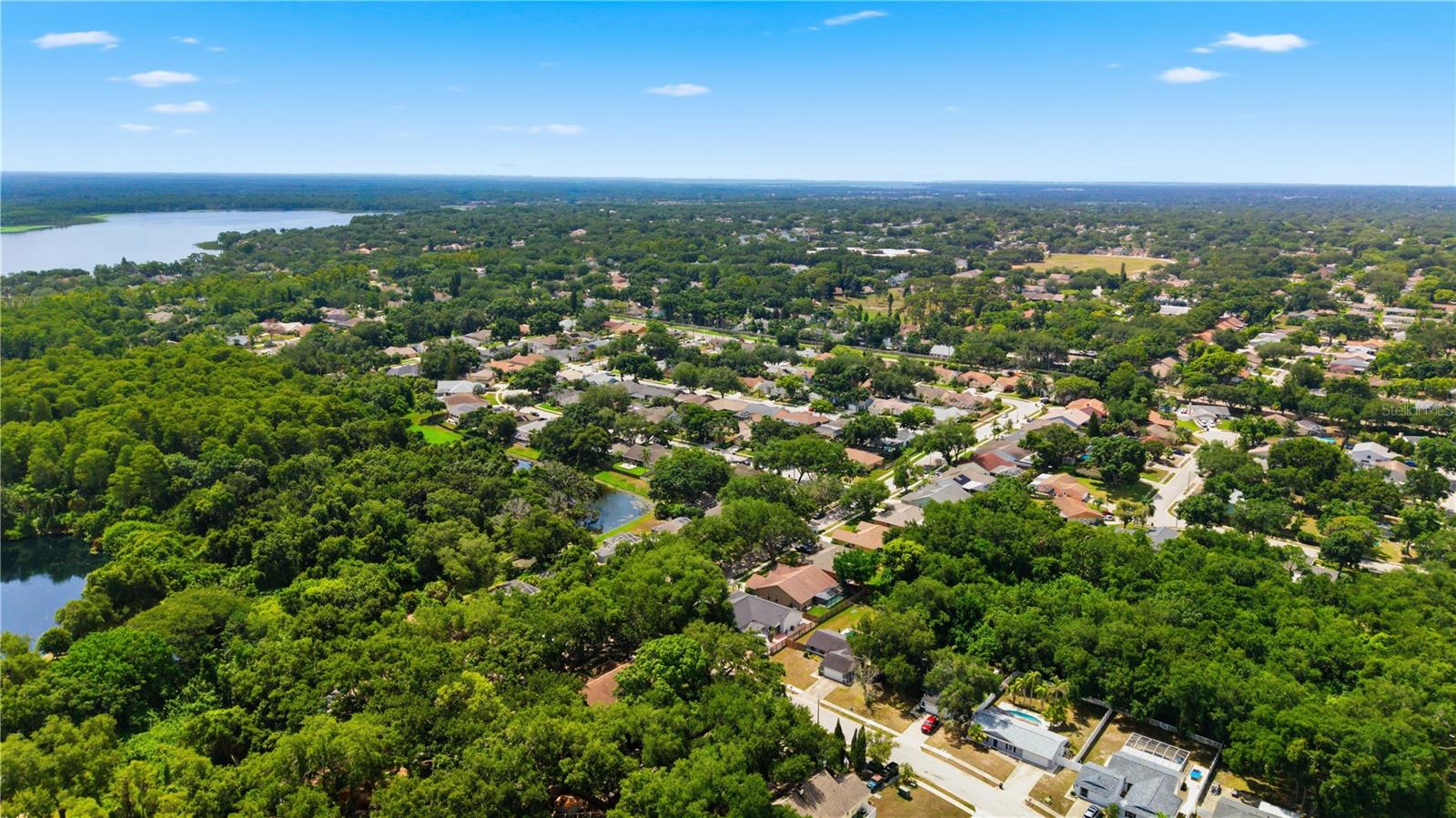 3040 WINDRIDGE OAKS DR, PALM HARBOR, FL — photo 42