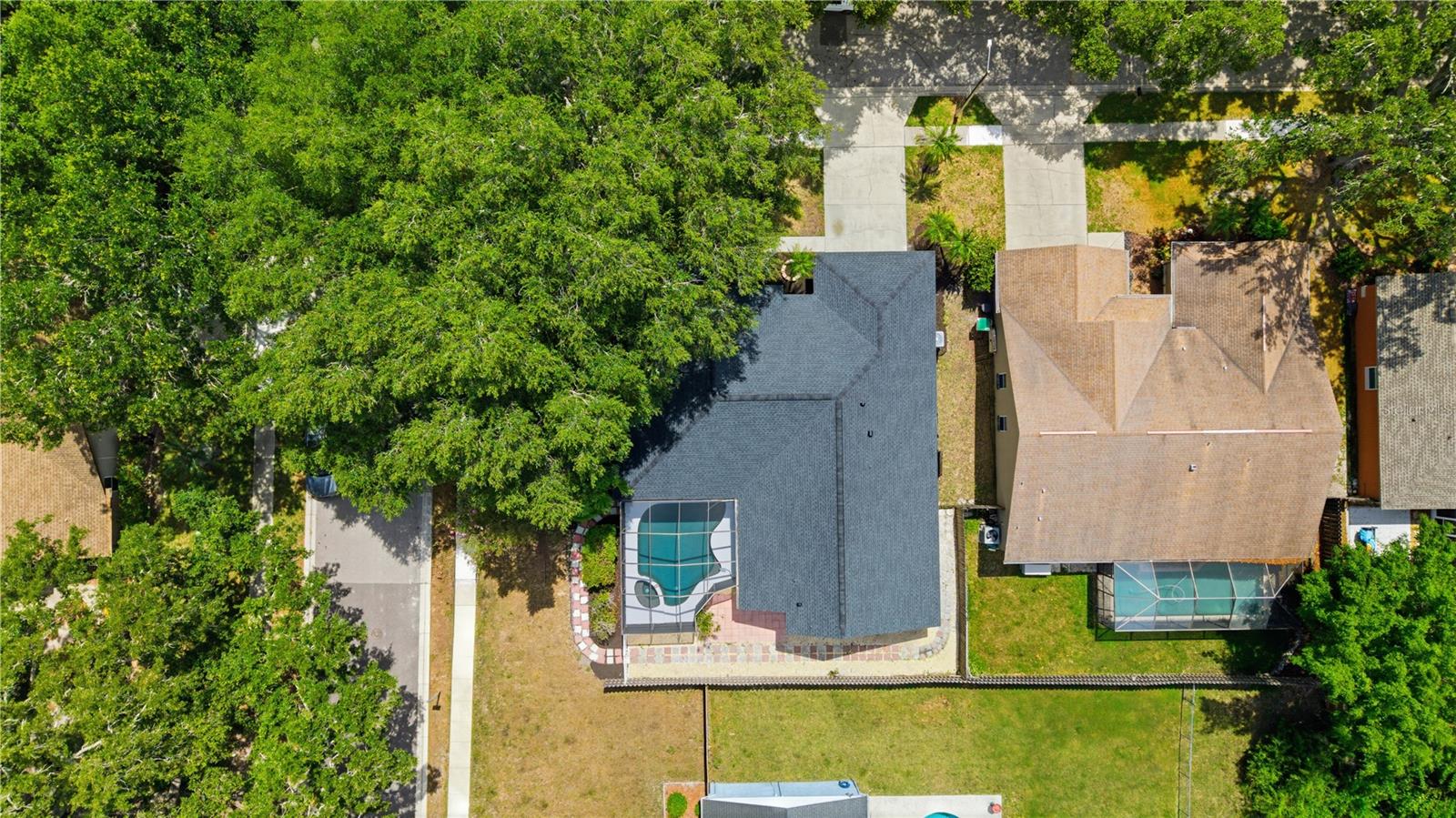 3040 WINDRIDGE OAKS DR, PALM HARBOR, FL — photo 43