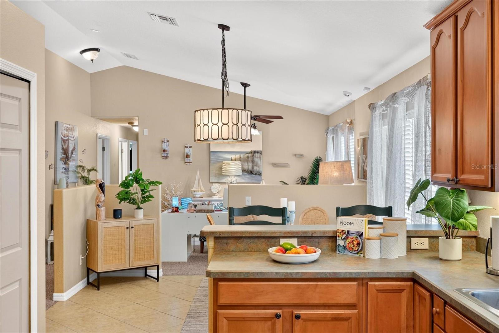 12854 NE 118TH TER, OCKLAWAHA, FL — photo 13