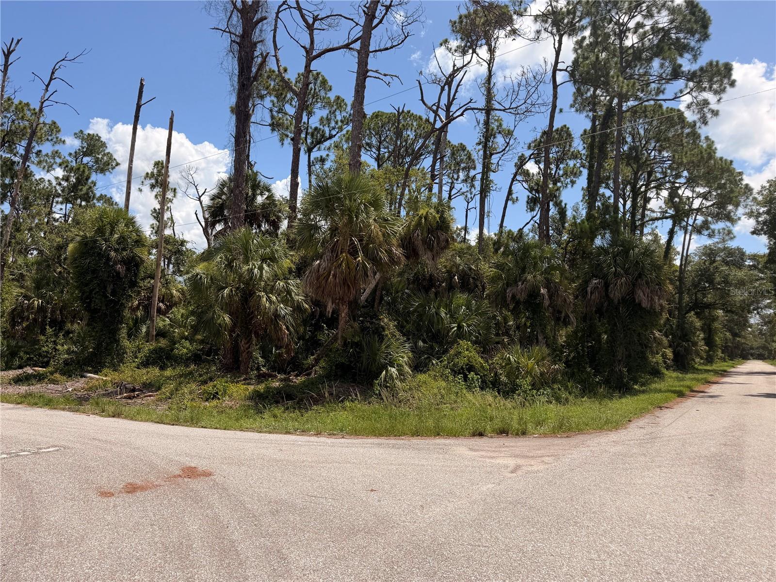 17392 ORION AVE, PORT CHARLOTTE, FL
