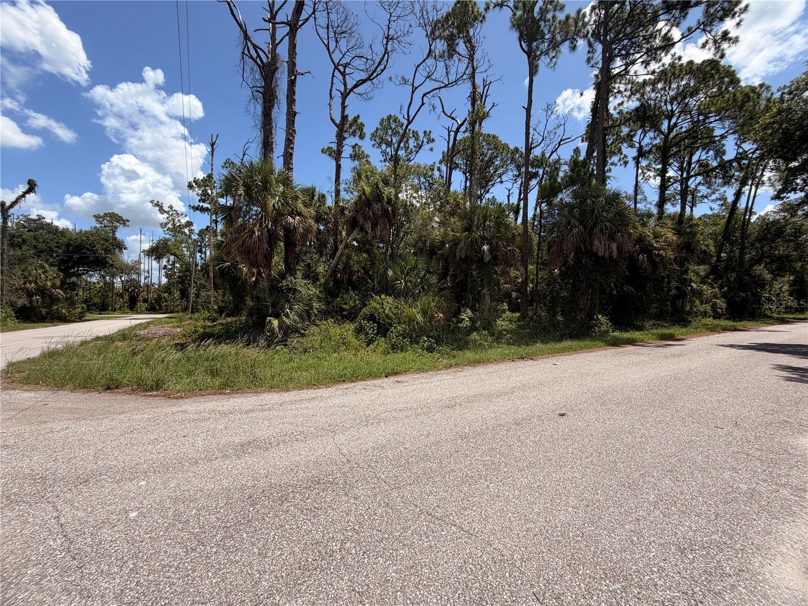 17392 ORION AVE, PORT CHARLOTTE, FL — photo 2