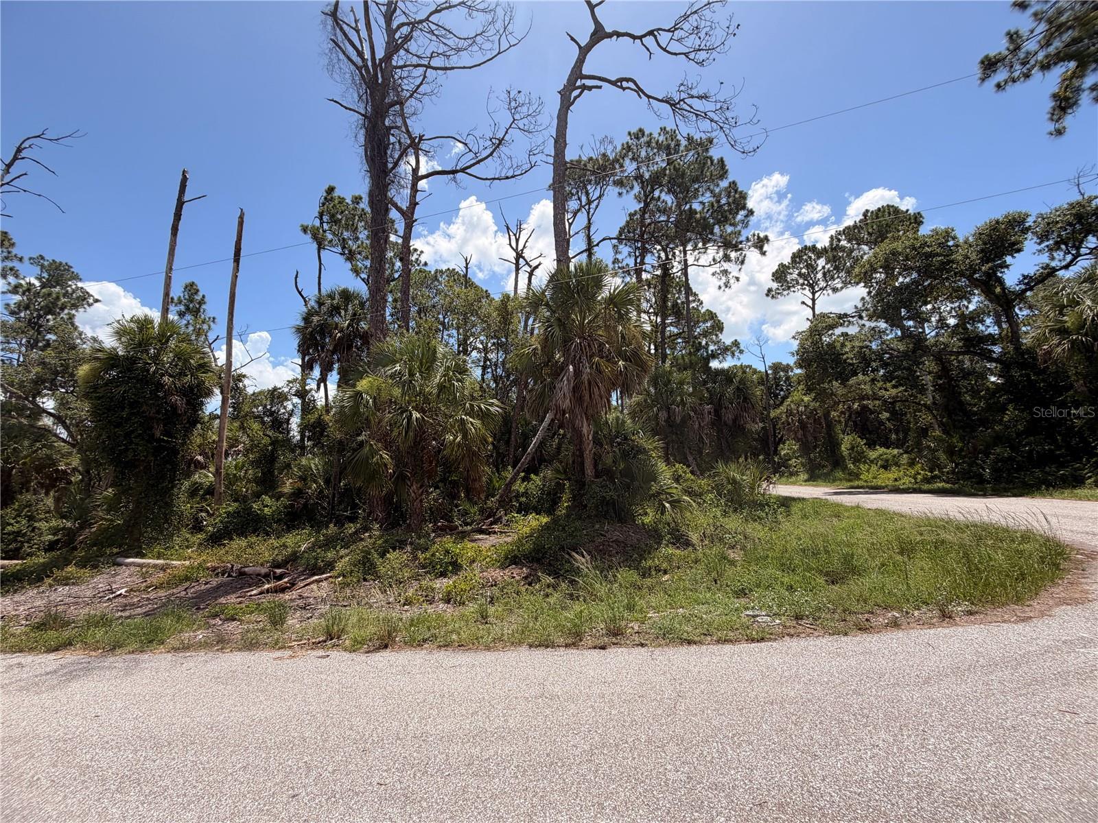 17392 ORION AVE, PORT CHARLOTTE, FL — photo 3