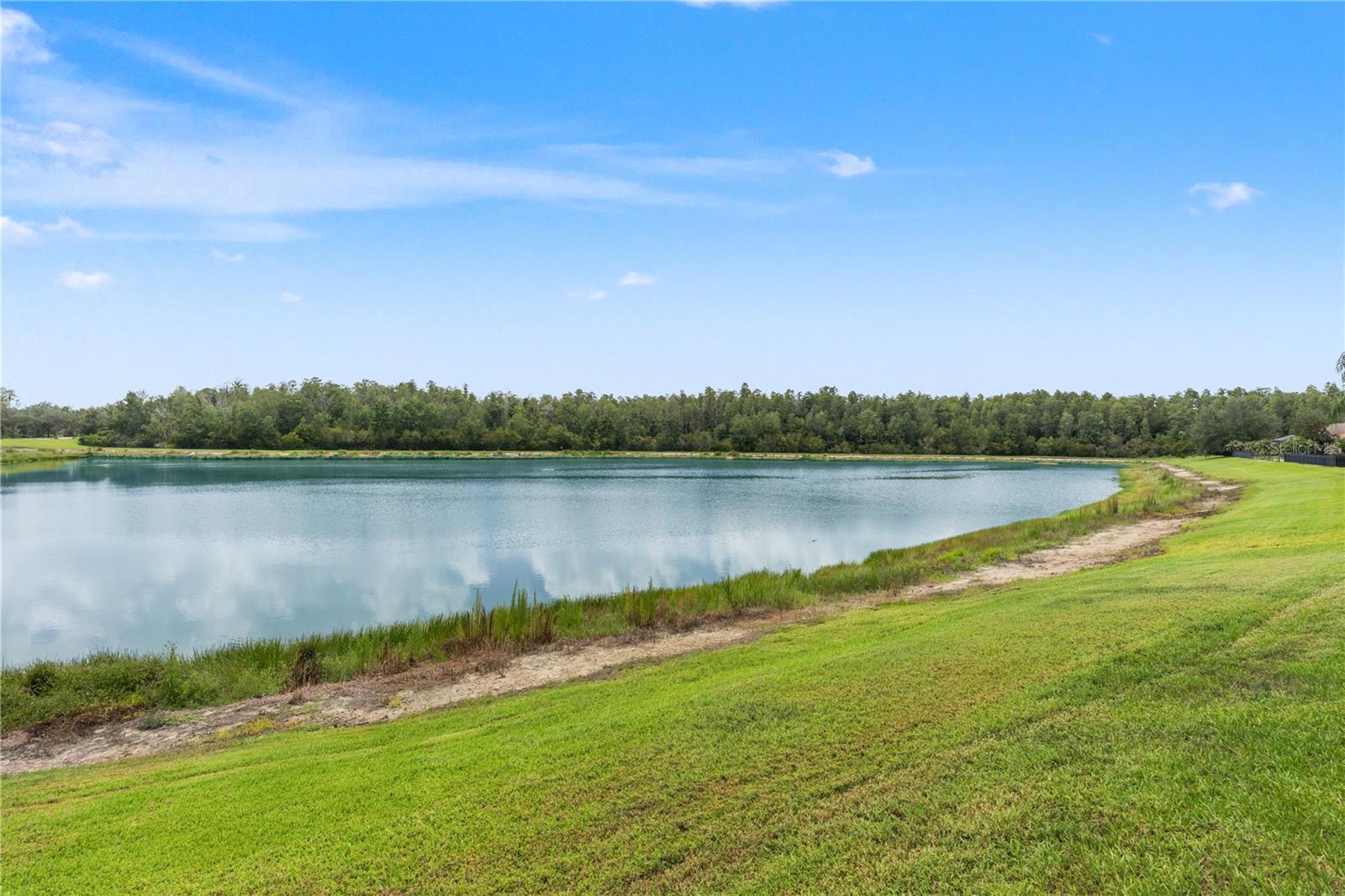 19304 YELLOW CLOVER DR, TAMPA, FL — photo 78