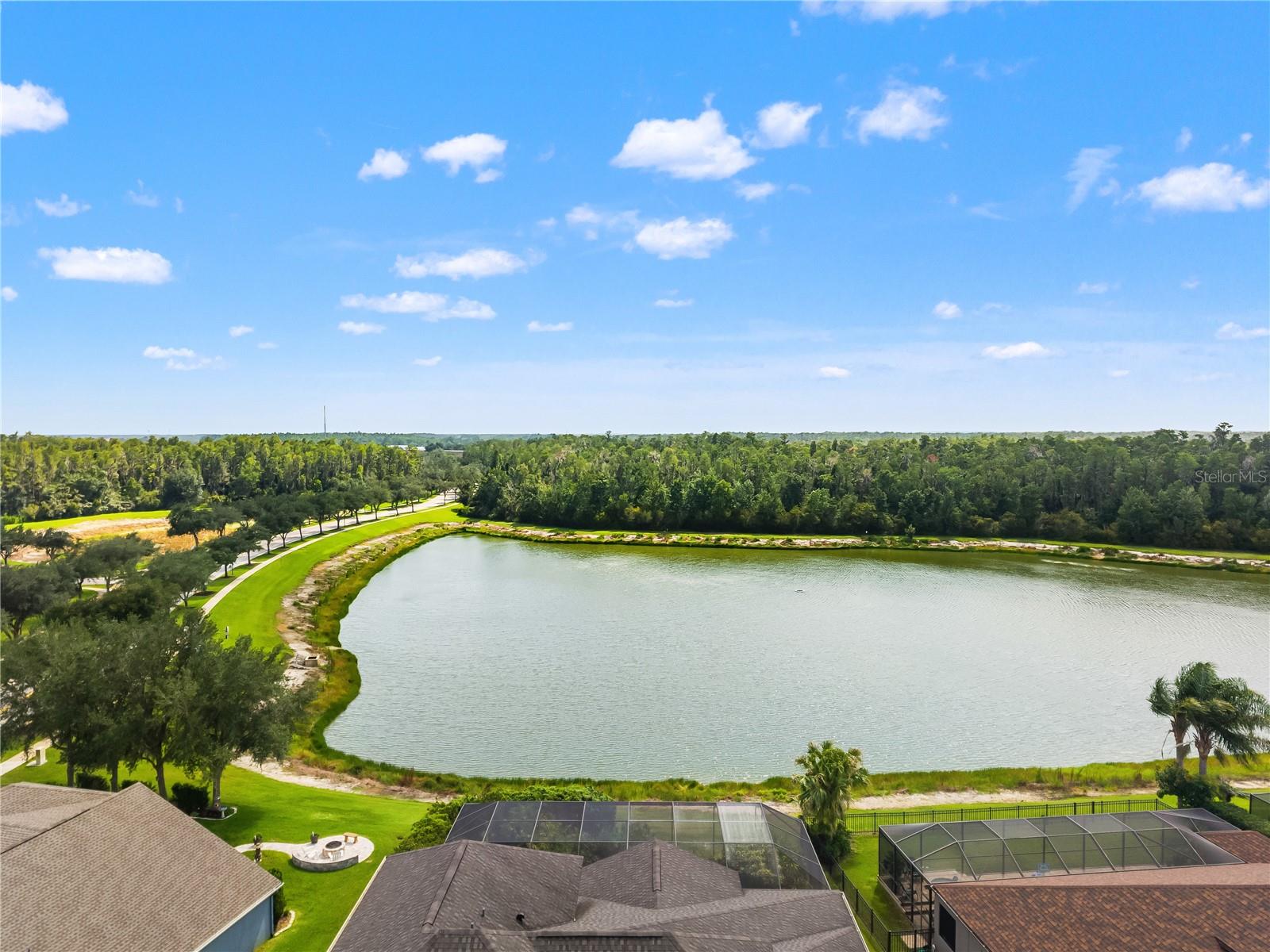 19304 YELLOW CLOVER DR, TAMPA, FL — photo 79