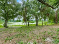 14436 CLERANDO DR — photo 25