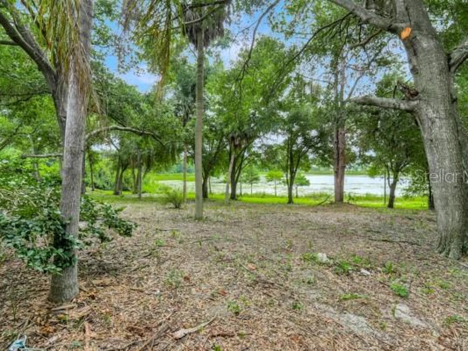 14436 CLERANDO DR, CLERMONT, FL — photo 26