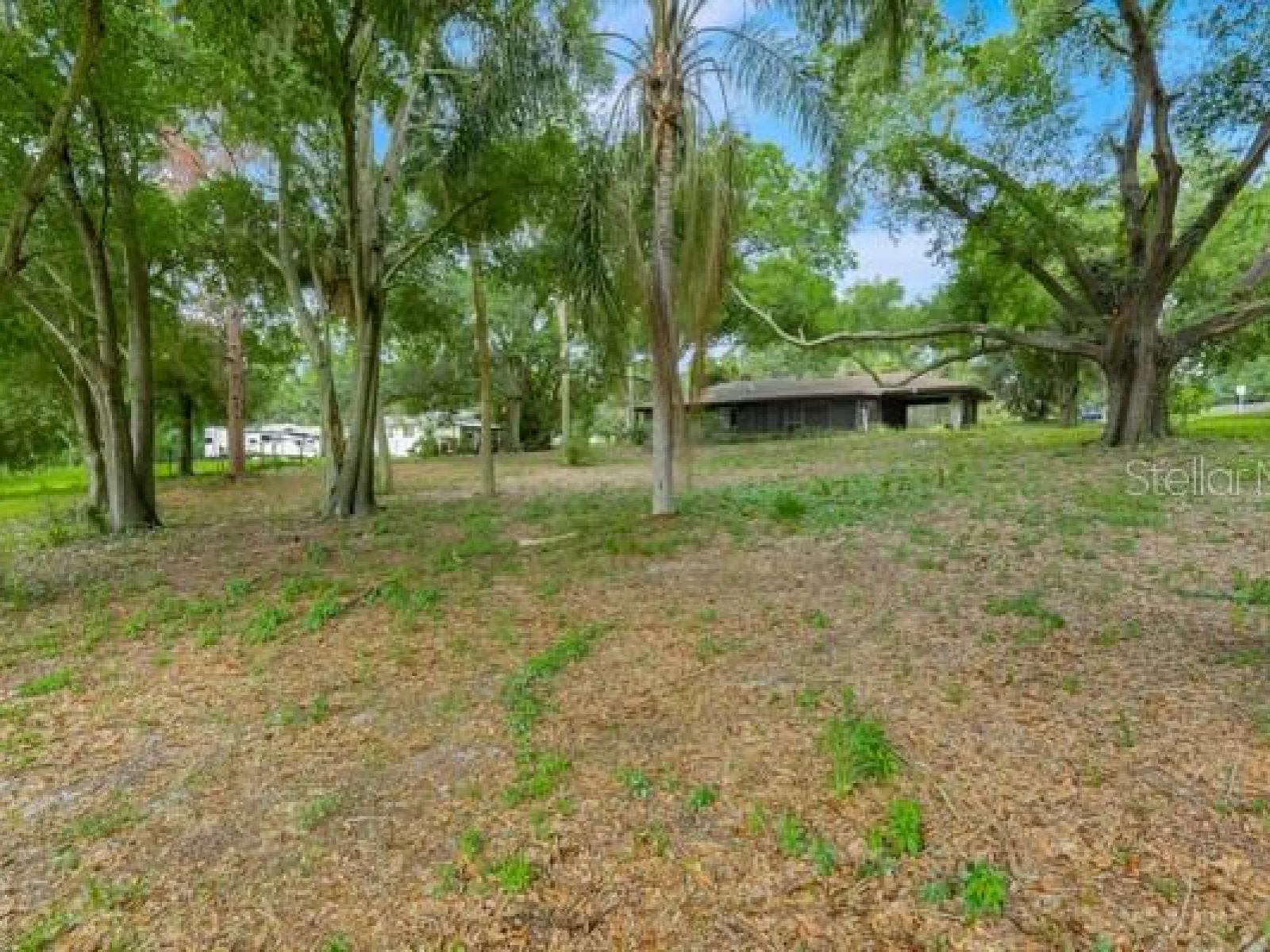 14436 CLERANDO DR, CLERMONT, FL — photo 27