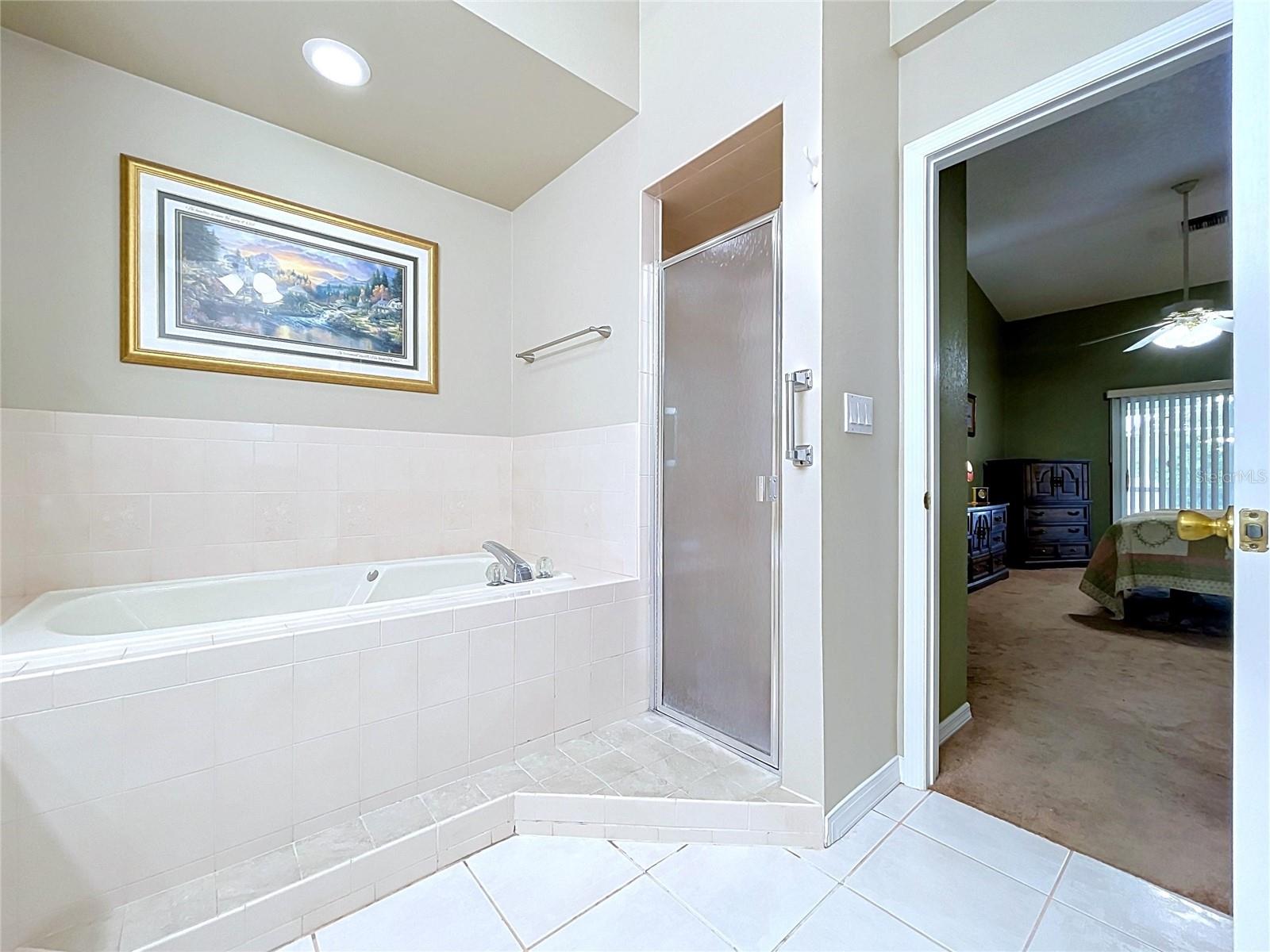 12380 TANSBORO ST, SPRING HILL, FL — photo 30