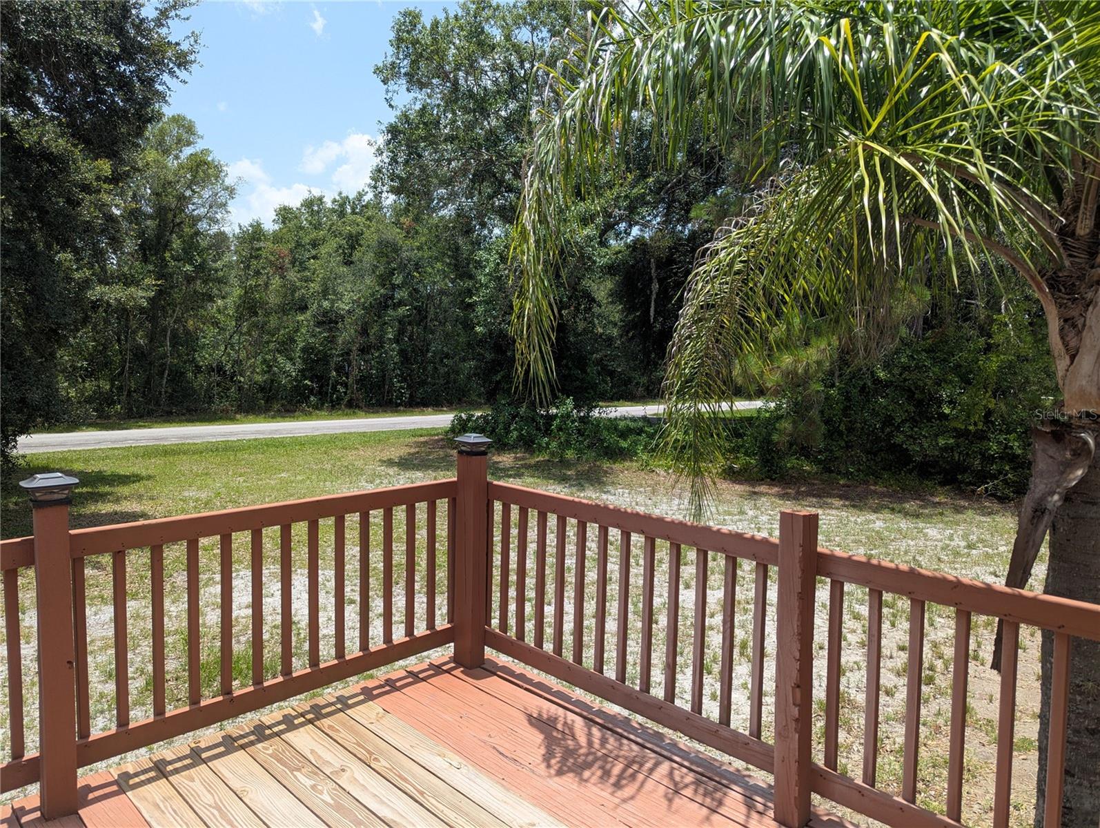 30517 CLEARVIEW DR, WESLEY CHAPEL, FL — photo 17