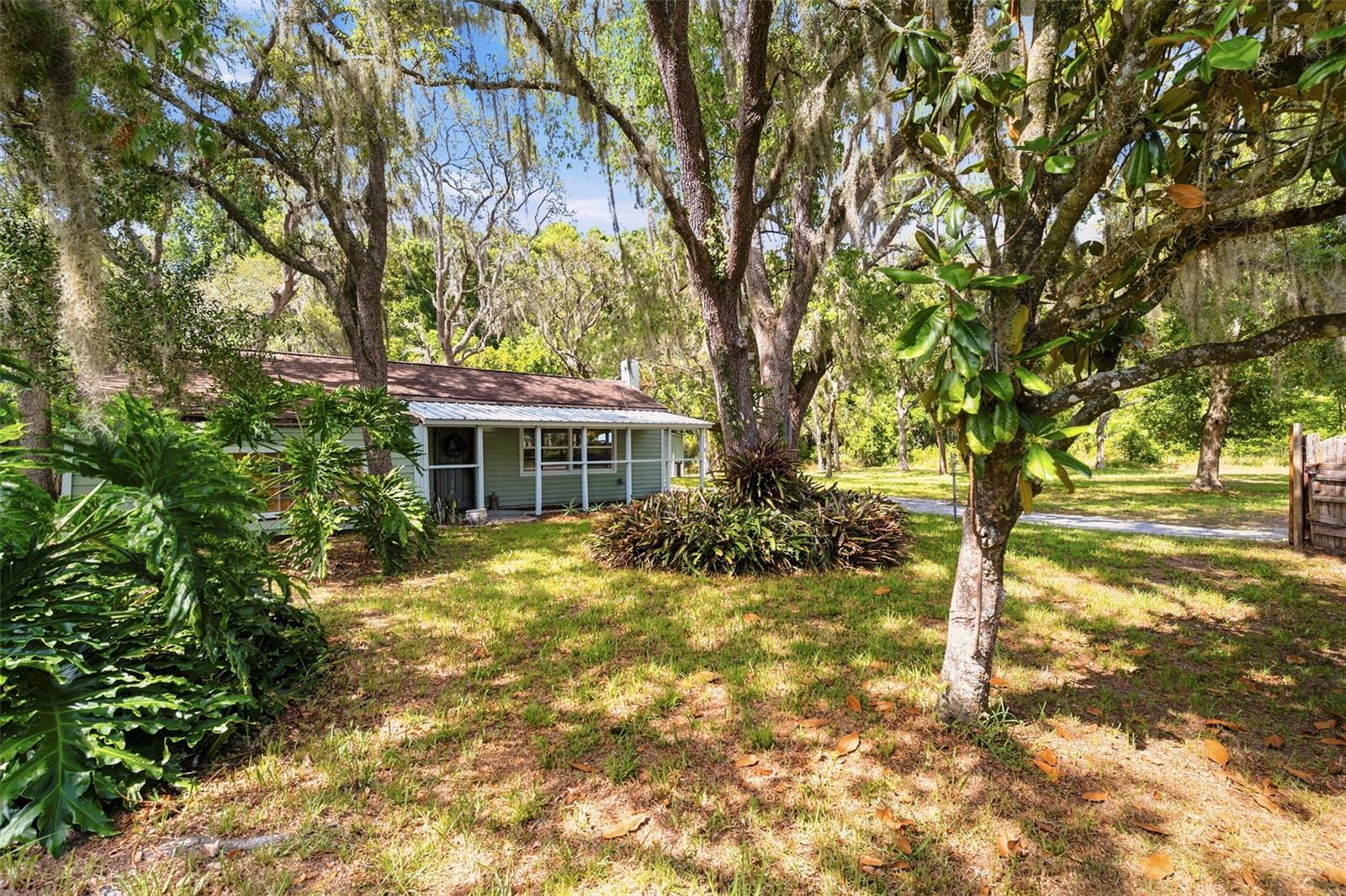 12307 EAGLE LAKE AVE, NEW PORT RICHEY, FL — photo 5