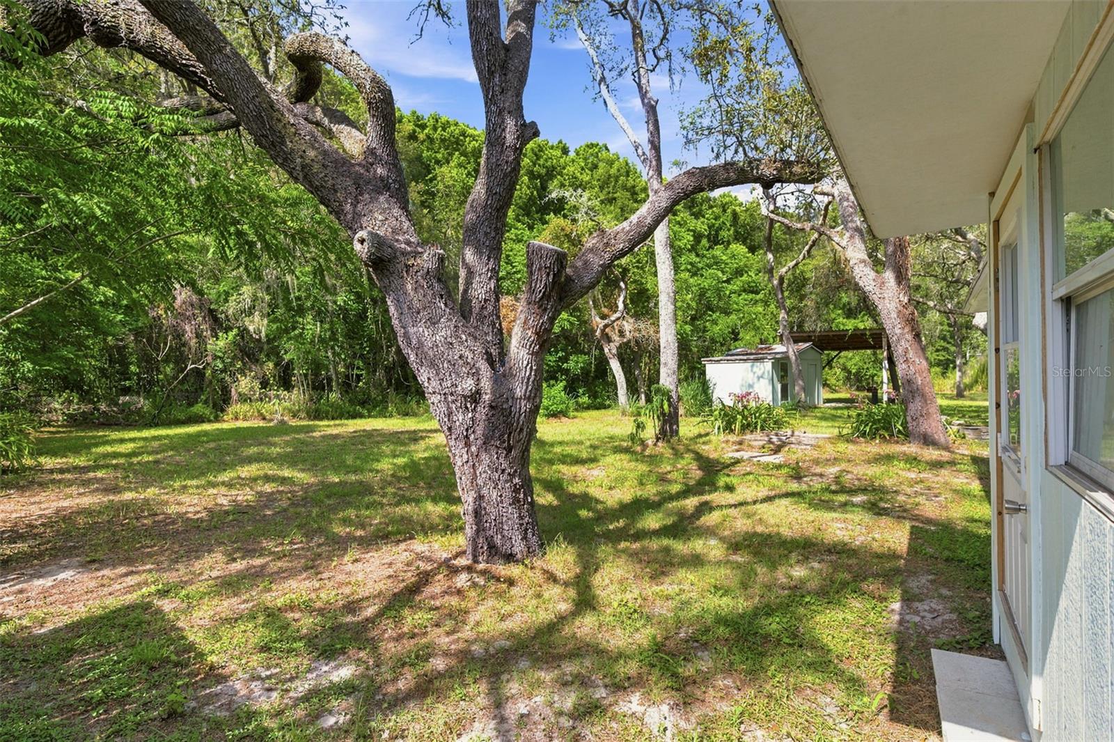 12307 EAGLE LAKE AVE, NEW PORT RICHEY, FL — photo 38