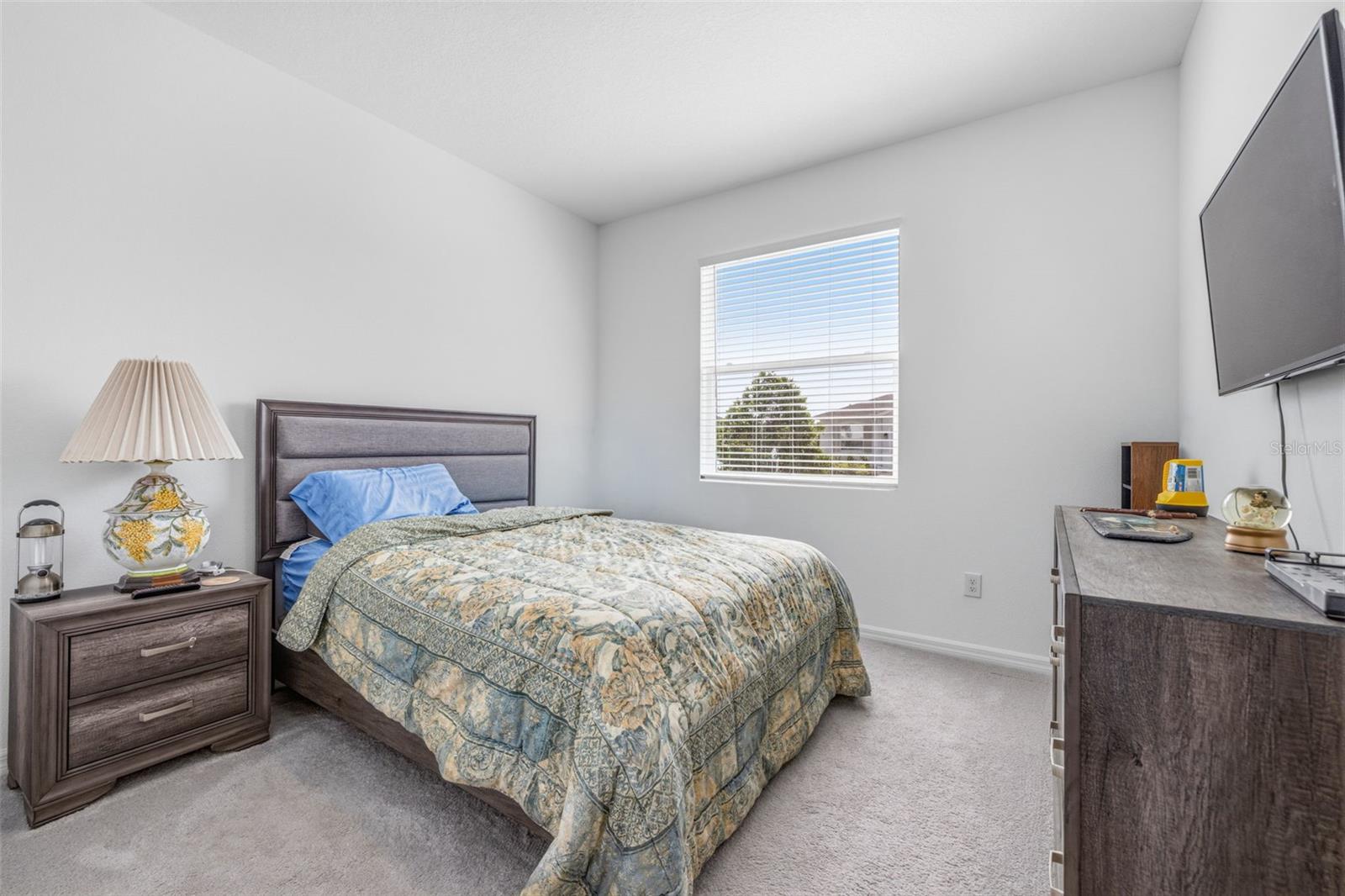 2541 BENDING BONSAI DR, WESLEY CHAPEL, FL — photo 16