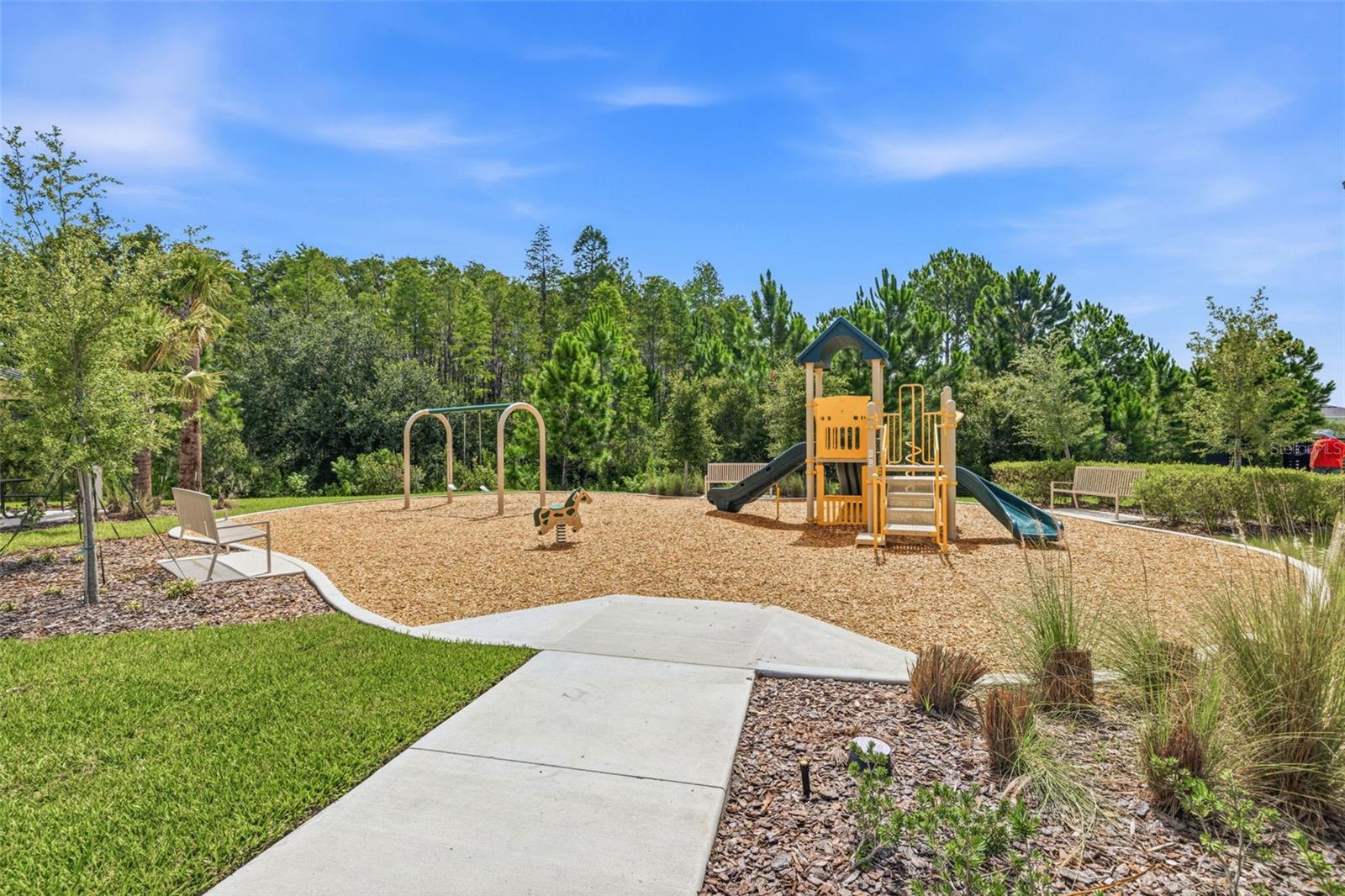 2541 BENDING BONSAI DR, WESLEY CHAPEL, FL — photo 24