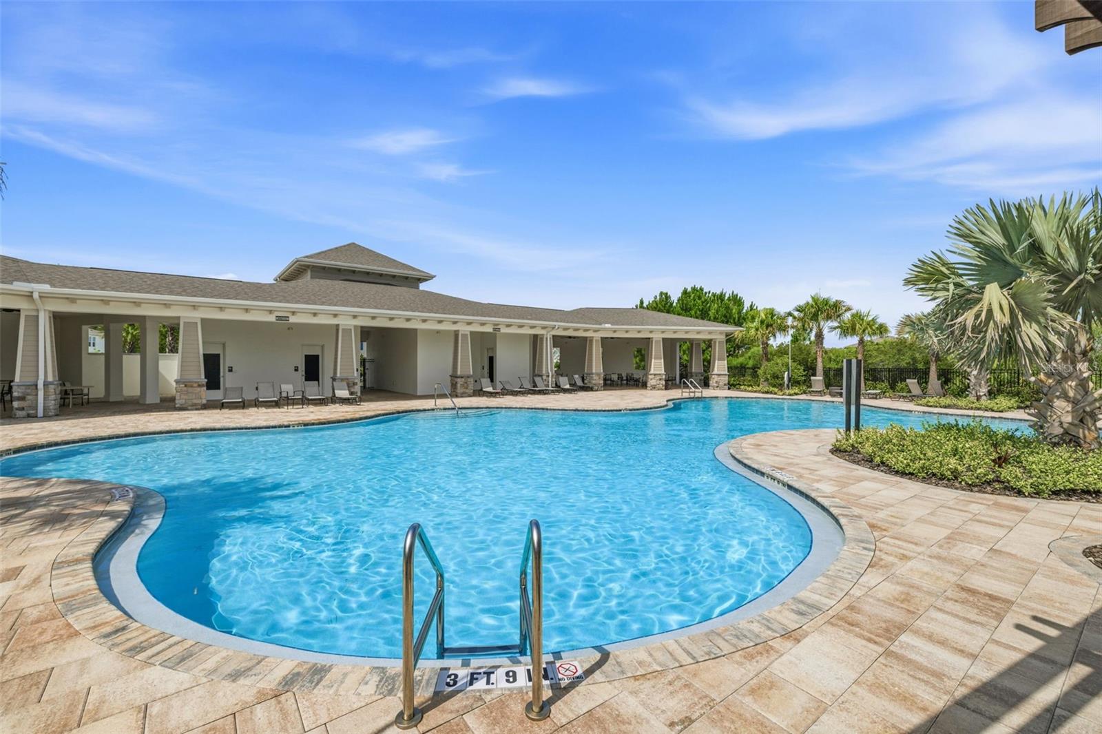 2541 BENDING BONSAI DR, WESLEY CHAPEL, FL — photo 29