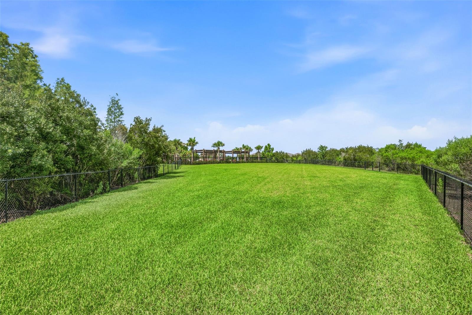 2541 BENDING BONSAI DR, WESLEY CHAPEL, FL — photo 35