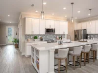 TBD LISA DR — photo 5