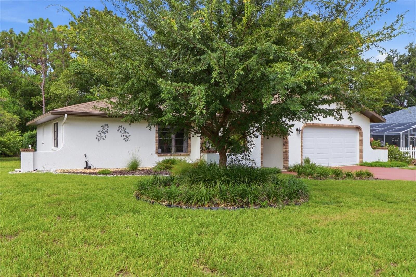5 DAHOON DR, HOMOSASSA, FL — photo 3