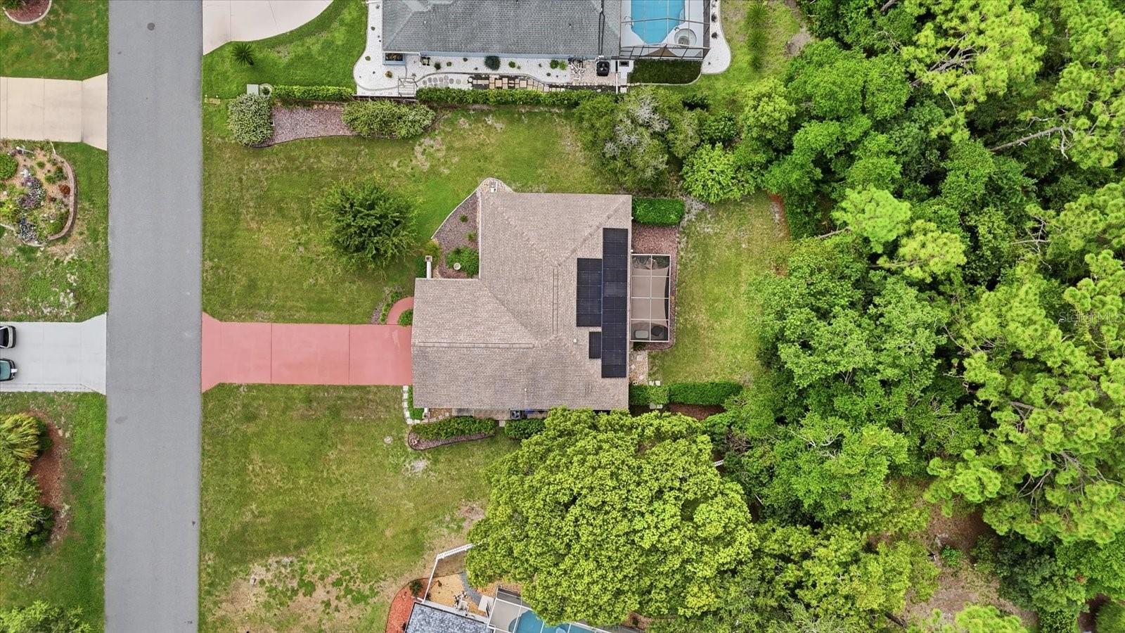 5 DAHOON DR, HOMOSASSA, FL — photo 39