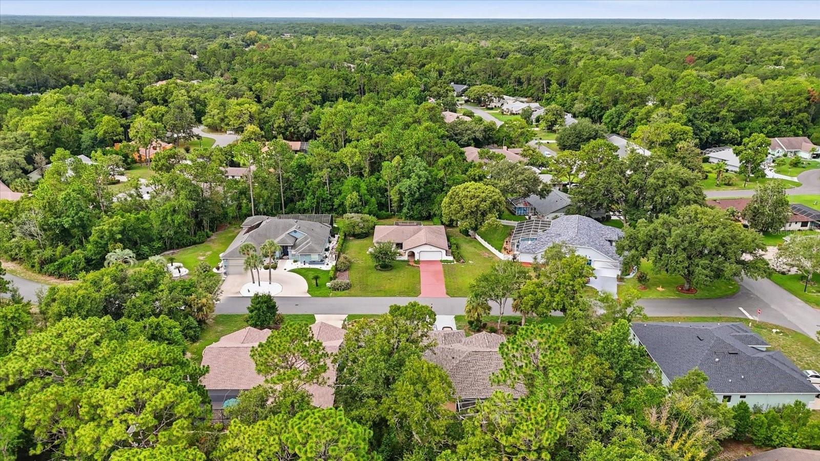 5 DAHOON DR, HOMOSASSA, FL — photo 41