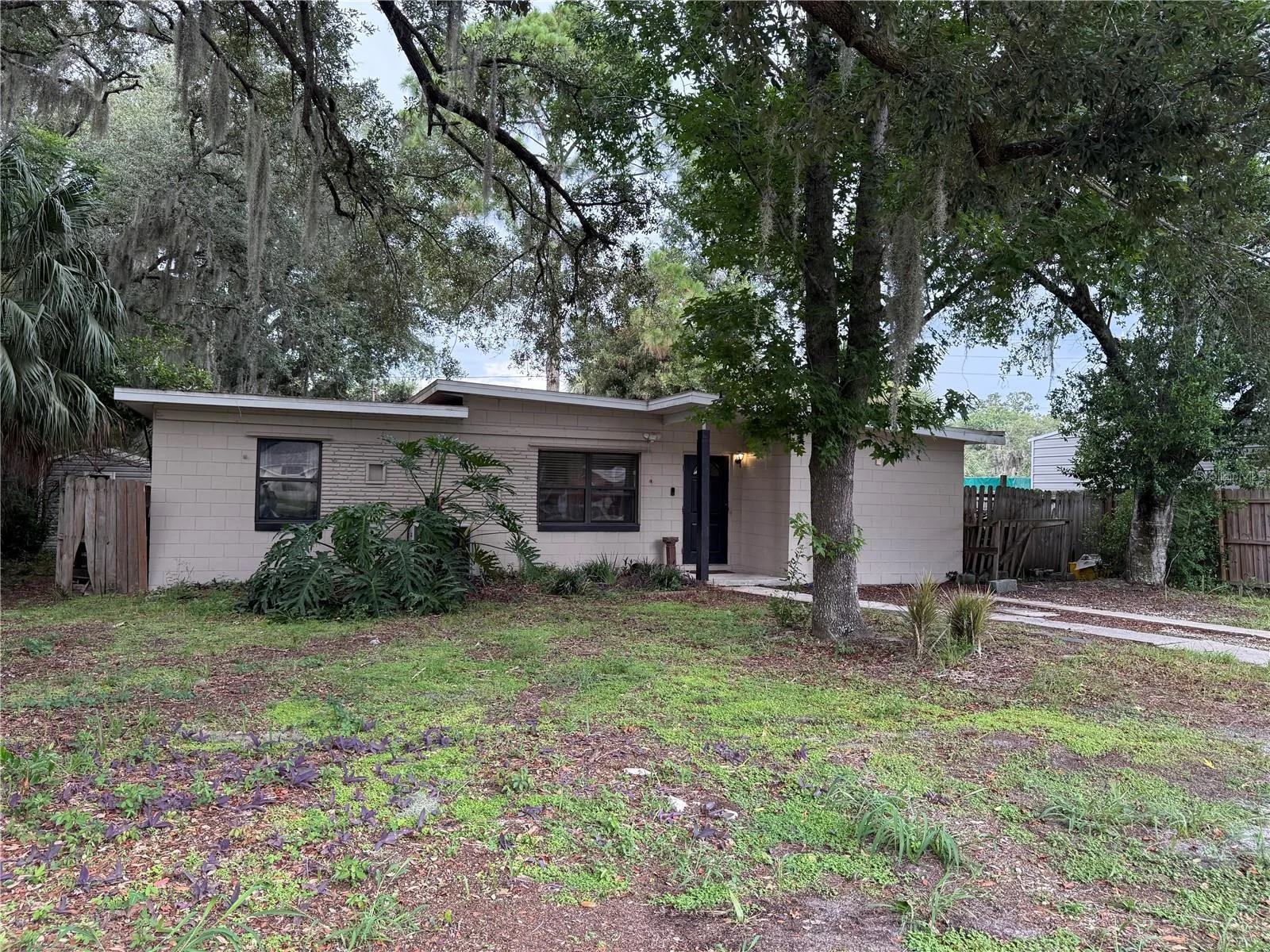 1435 TRIANGLE DR, MOUNT DORA, FL — photo 1